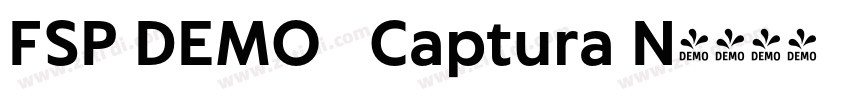 FSP DEMO   Captura N字体转换